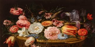 Still life by long-forgotten painter Clara Peeters could fetch £700,000